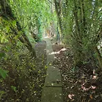 Brookvale 4*