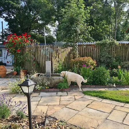 Brookvale 4* Wellingtonbridge