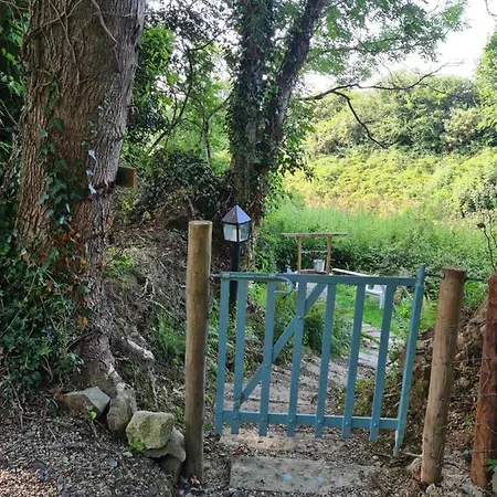 Frühstückspension Brookvale Wellingtonbridge