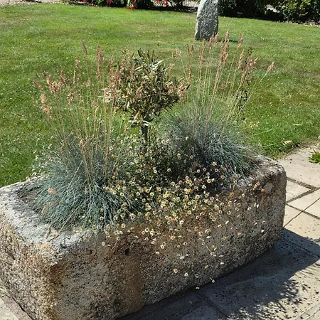 Brookvale Wellingtonbridge