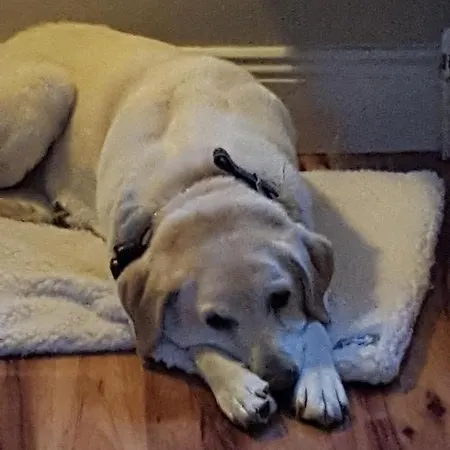 Frühstückspension Brookvale