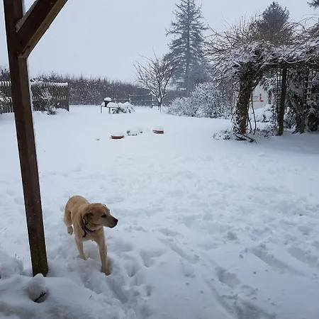 Brookvale Frühstückspension