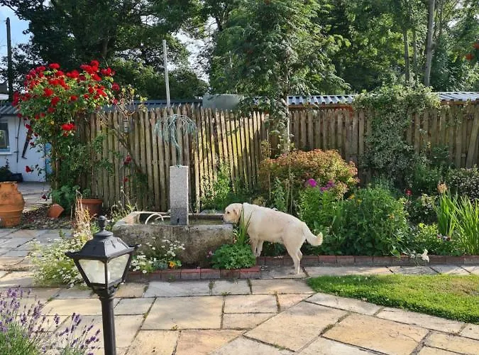 Brookvale 4* Wellingtonbridge