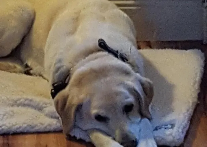 Bed & Breakfast Brookvale