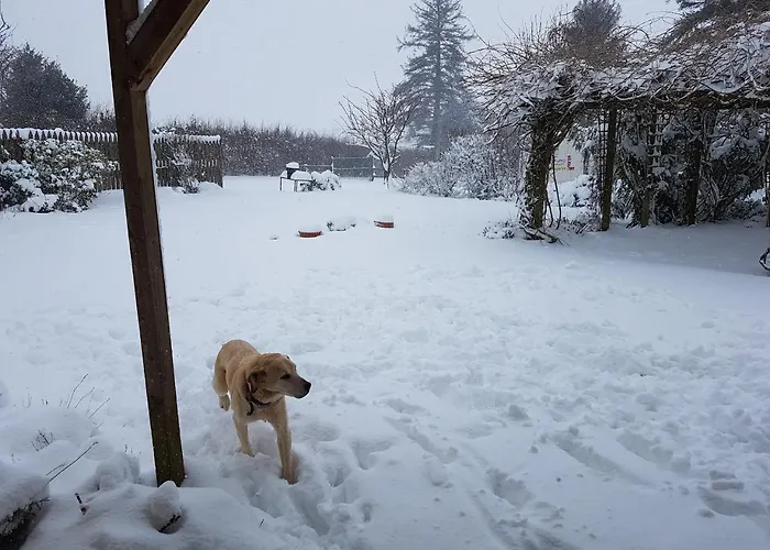 Brookvale Bed & Breakfast